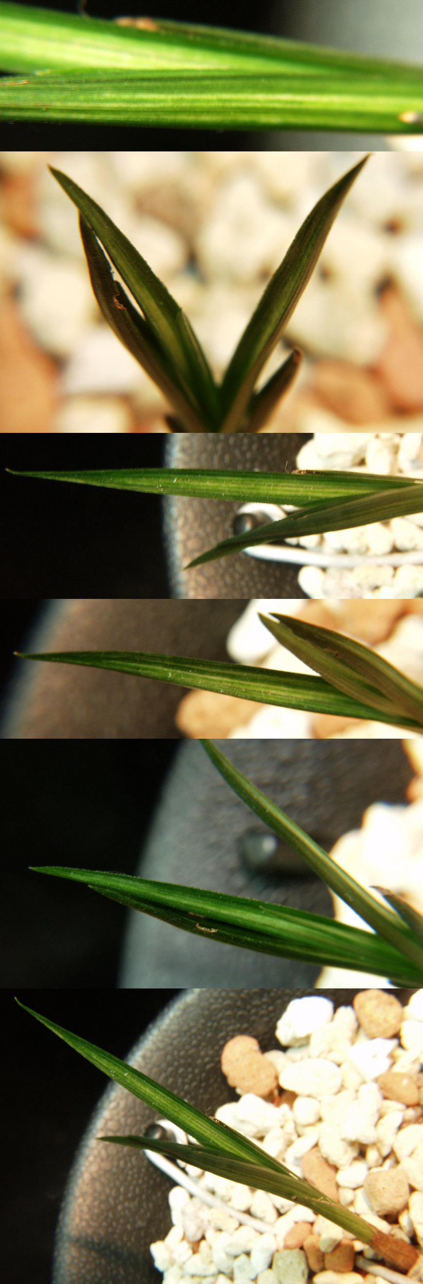 ������ ū������ �� �� �ֽ��ϴ�.