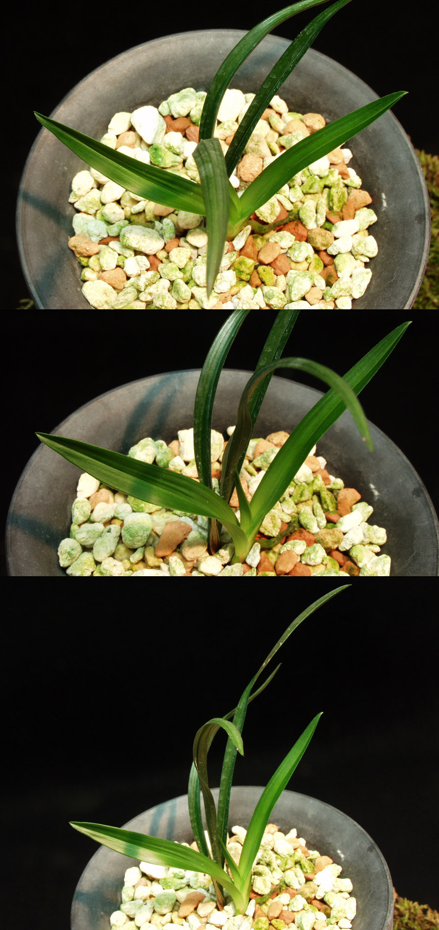 ������ ū������ �� �� �ֽ��ϴ�.