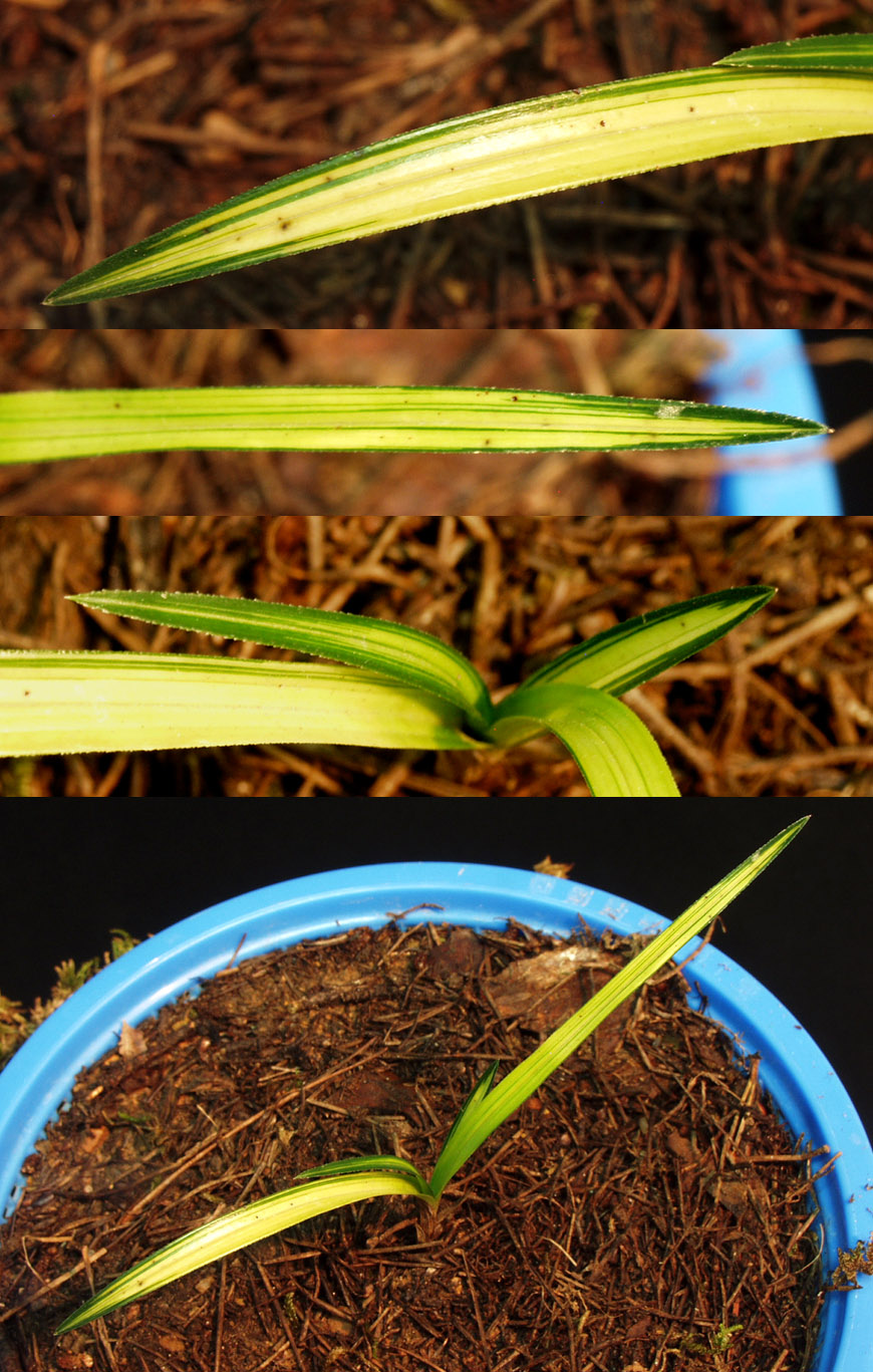 ������ ū������ �� �� �ֽ��ϴ�.