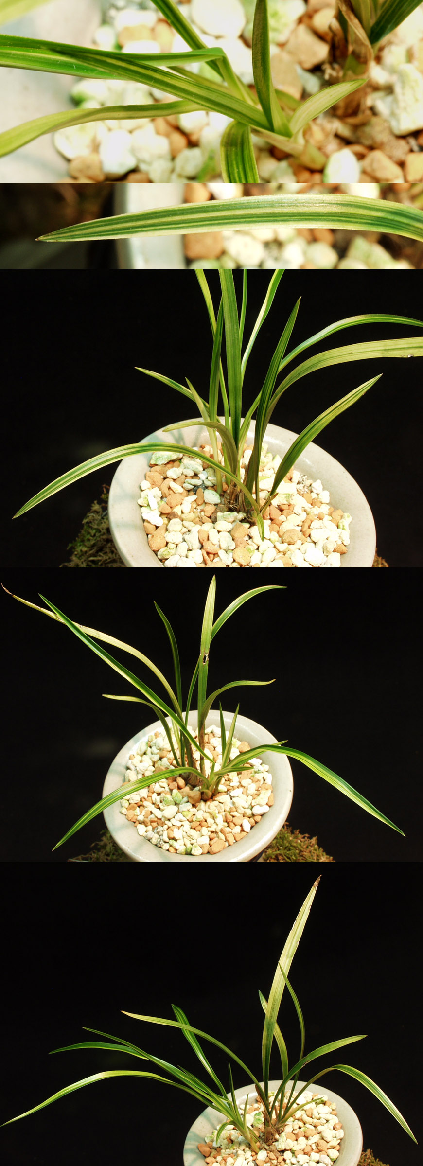 ������ ū������ �� �� �ֽ��ϴ�.