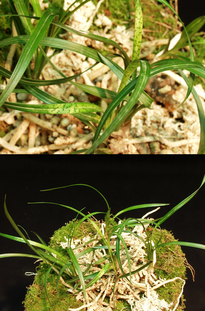 ������ ū������ �� �� �ֽ��ϴ�.