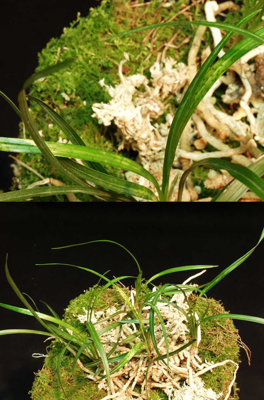 ������ ū������ �� �� �ֽ��ϴ�.