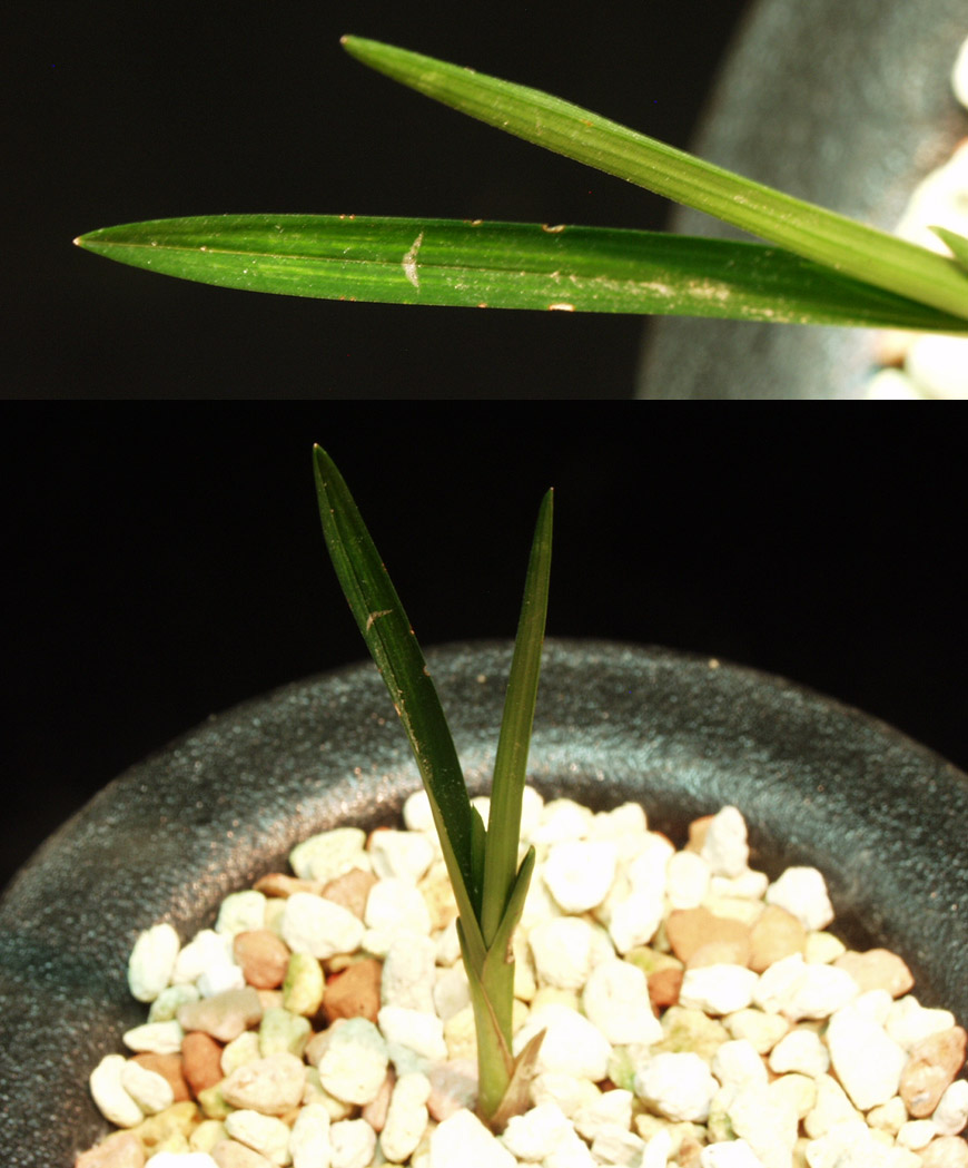 ������ ū������ �� �� �ֽ��ϴ�.