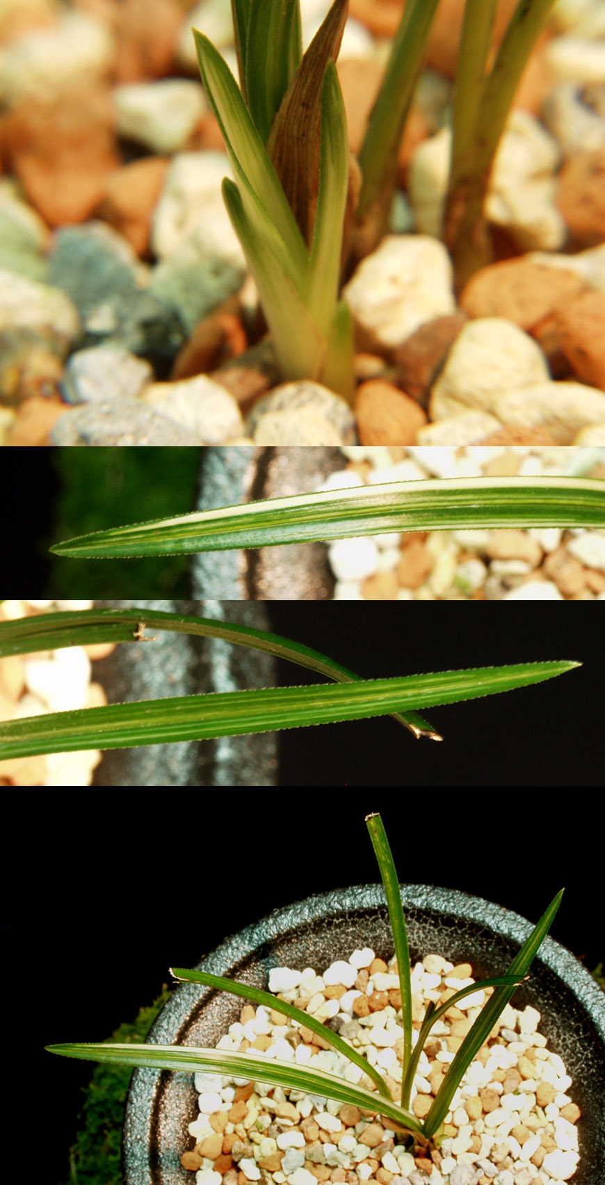 ������ ū������ �� �� �ֽ��ϴ�.