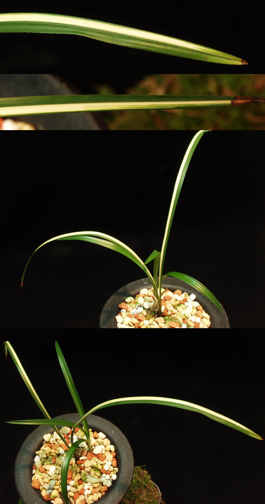 ������ ū������ �� �� �ֽ��ϴ�.