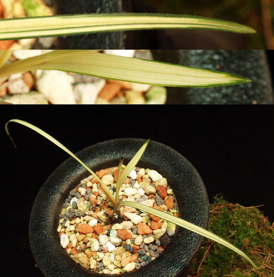 ������ ū������ �� �� �ֽ��ϴ�.