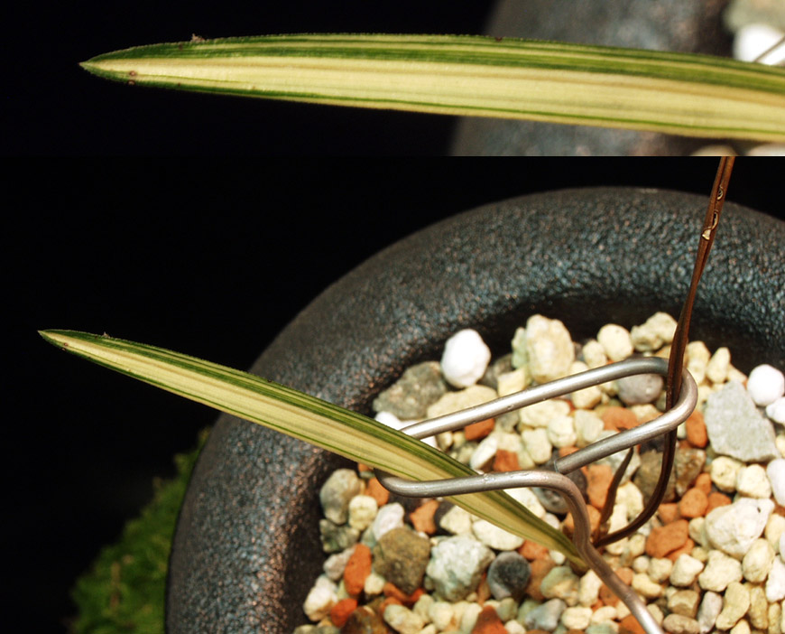 ������ ū������ �� �� �ֽ��ϴ�.