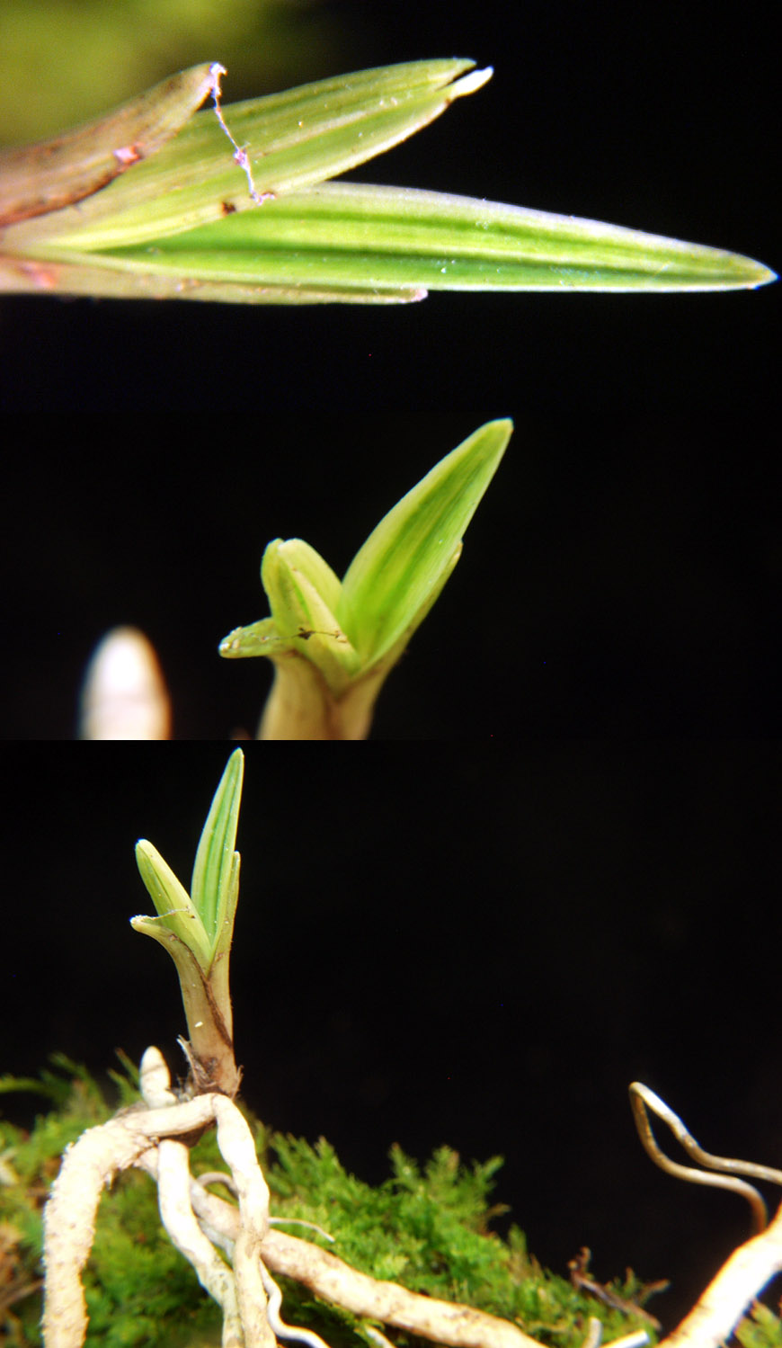 ������ ū������ �� �� �ֽ��ϴ�.