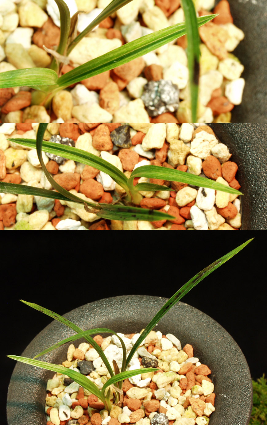 ������ ū������ �� �� �ֽ��ϴ�.