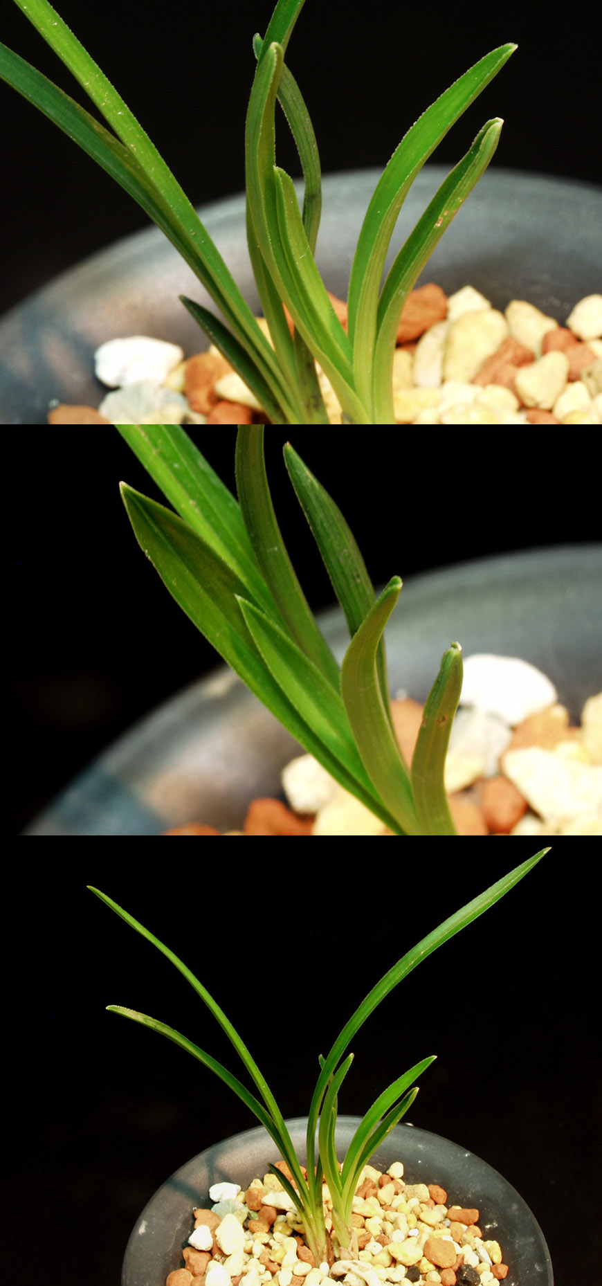 ������ ū������ �� �� �ֽ��ϴ�.