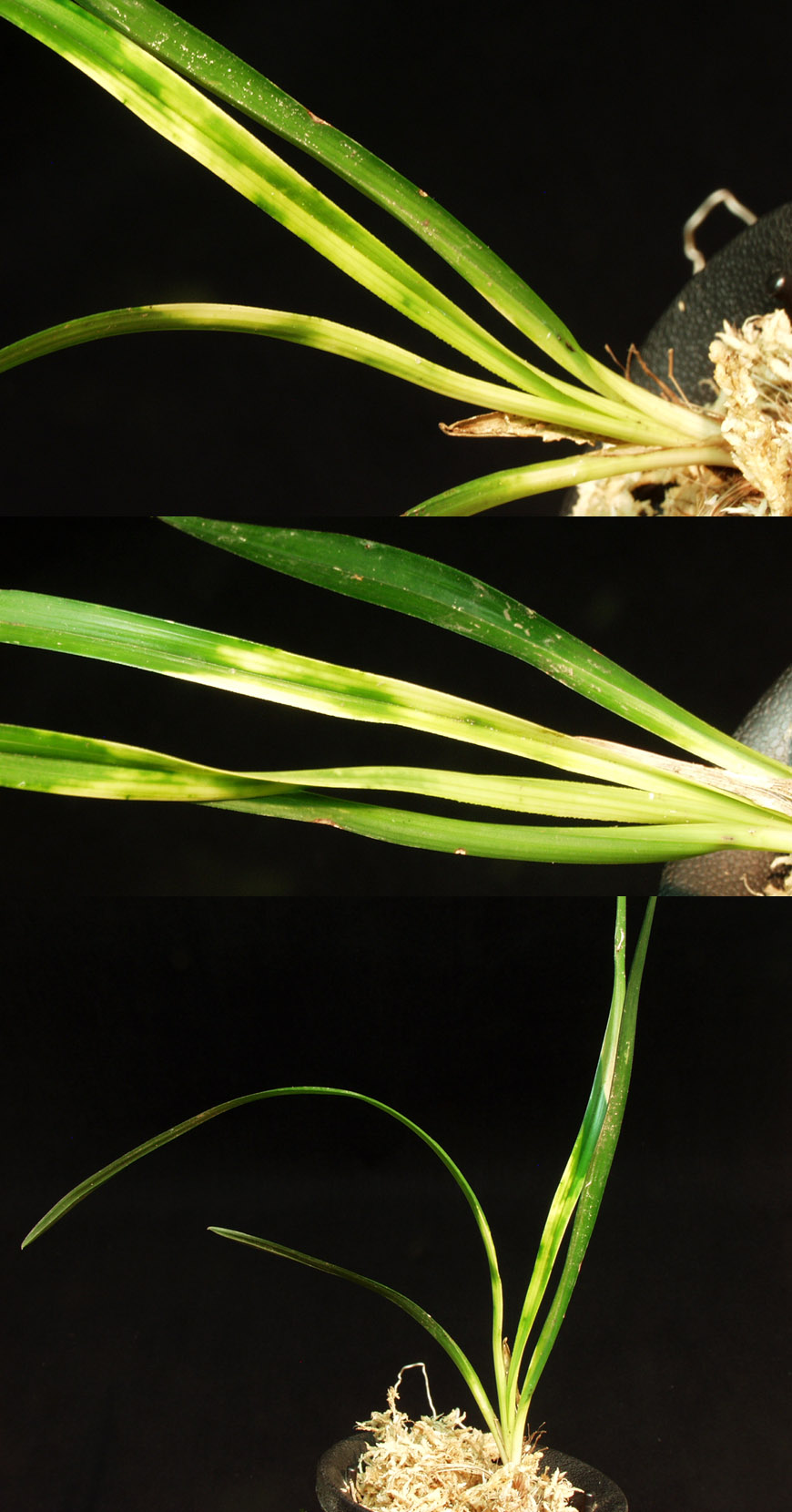 ������ ū������ �� �� �ֽ��ϴ�.