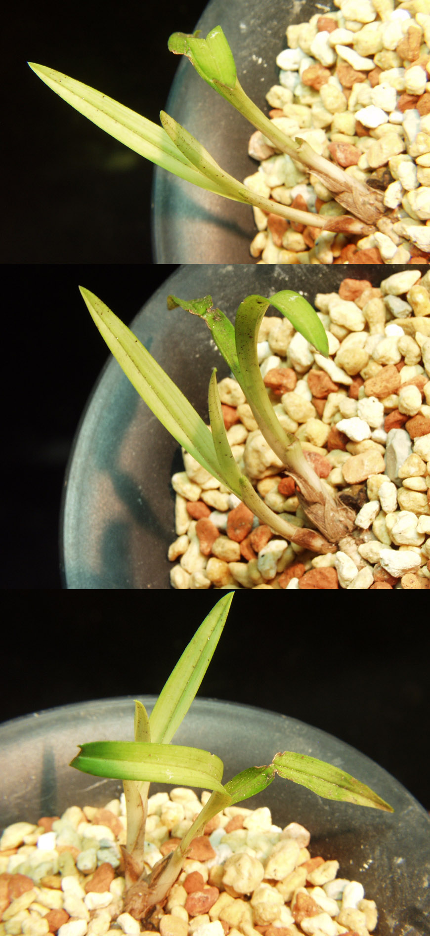 ������ ū������ �� �� �ֽ��ϴ�.