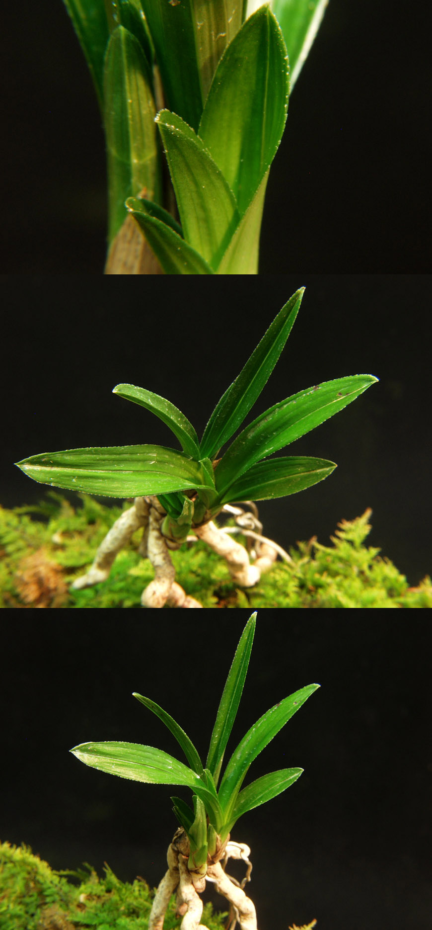 ������ ū������ �� �� �ֽ��ϴ�.