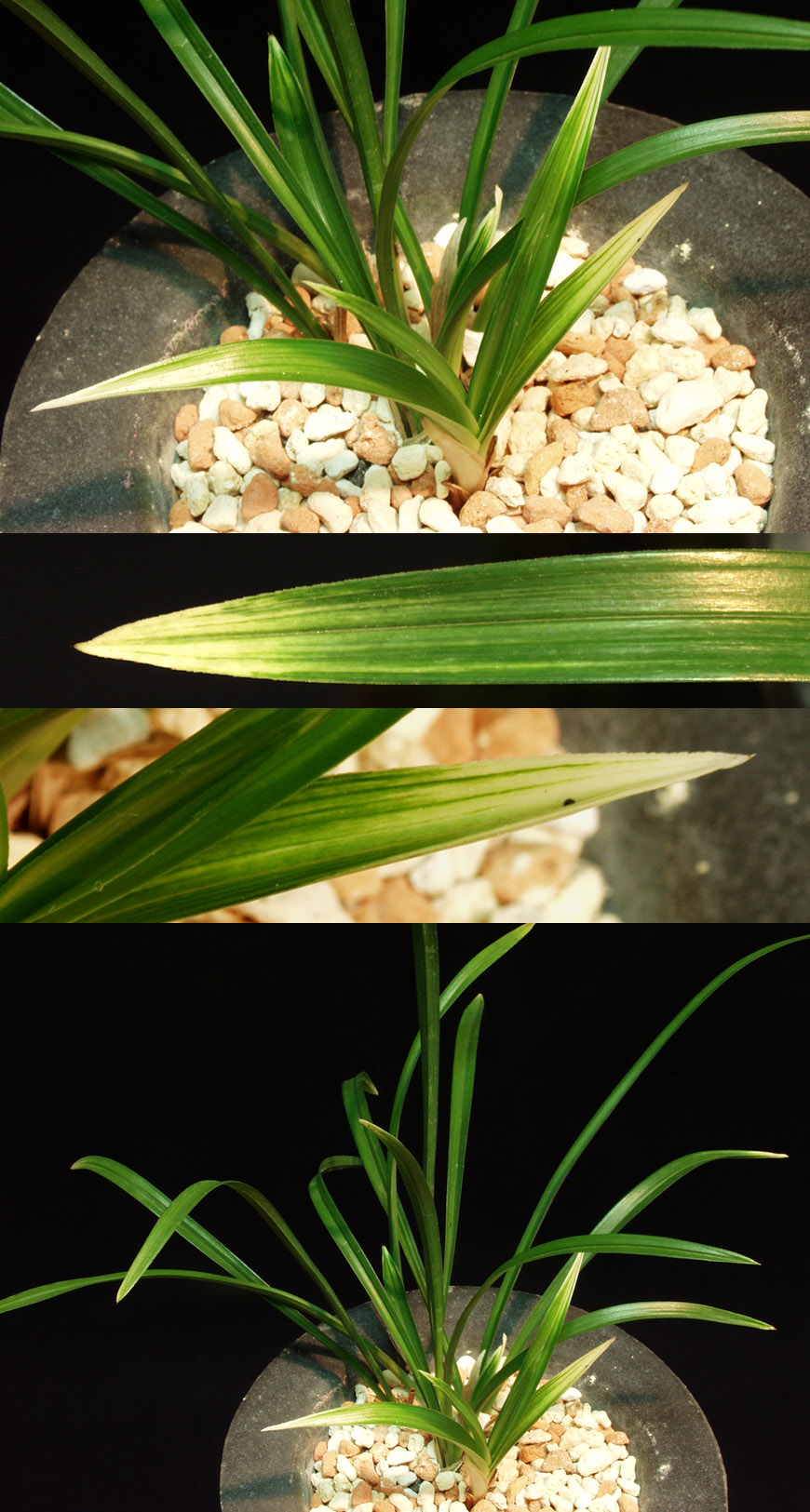 ������ ū������ �� �� �ֽ��ϴ�.