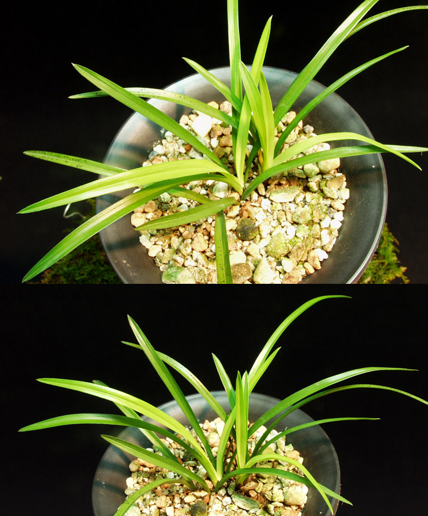 ������ ū������ �� �� �ֽ��ϴ�.