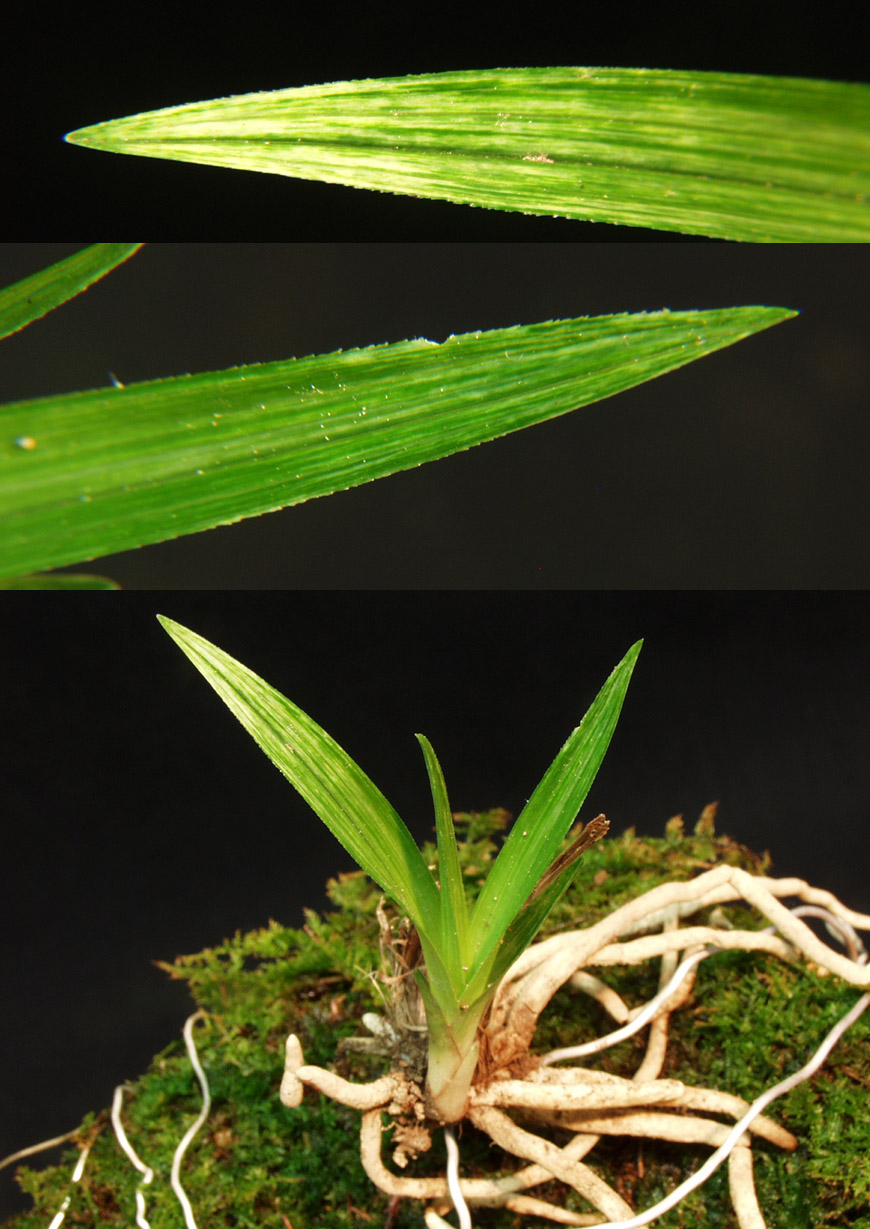 ������ ū������ �� �� �ֽ��ϴ�.