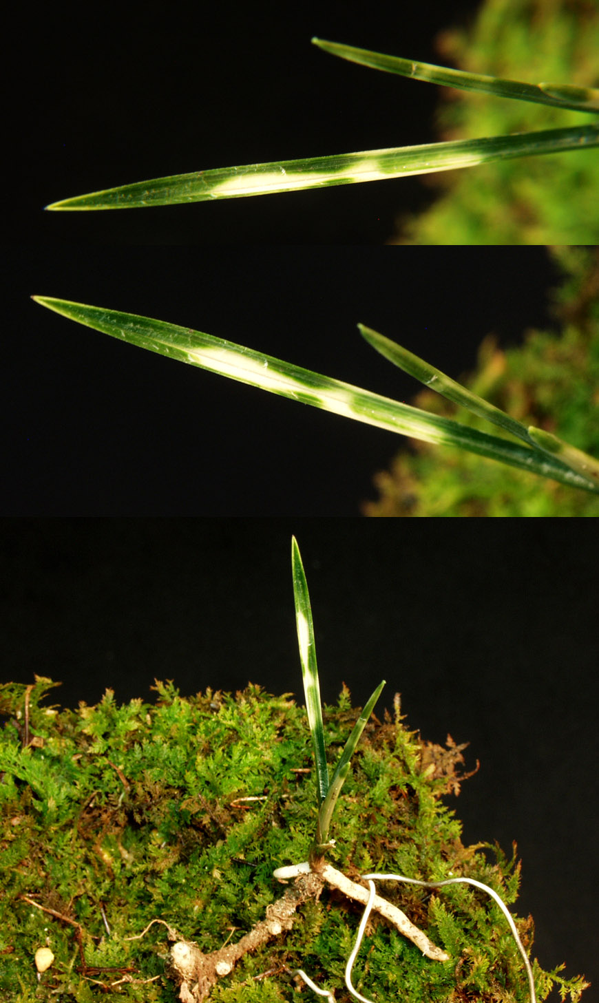 ������ ū������ �� �� �ֽ��ϴ�.