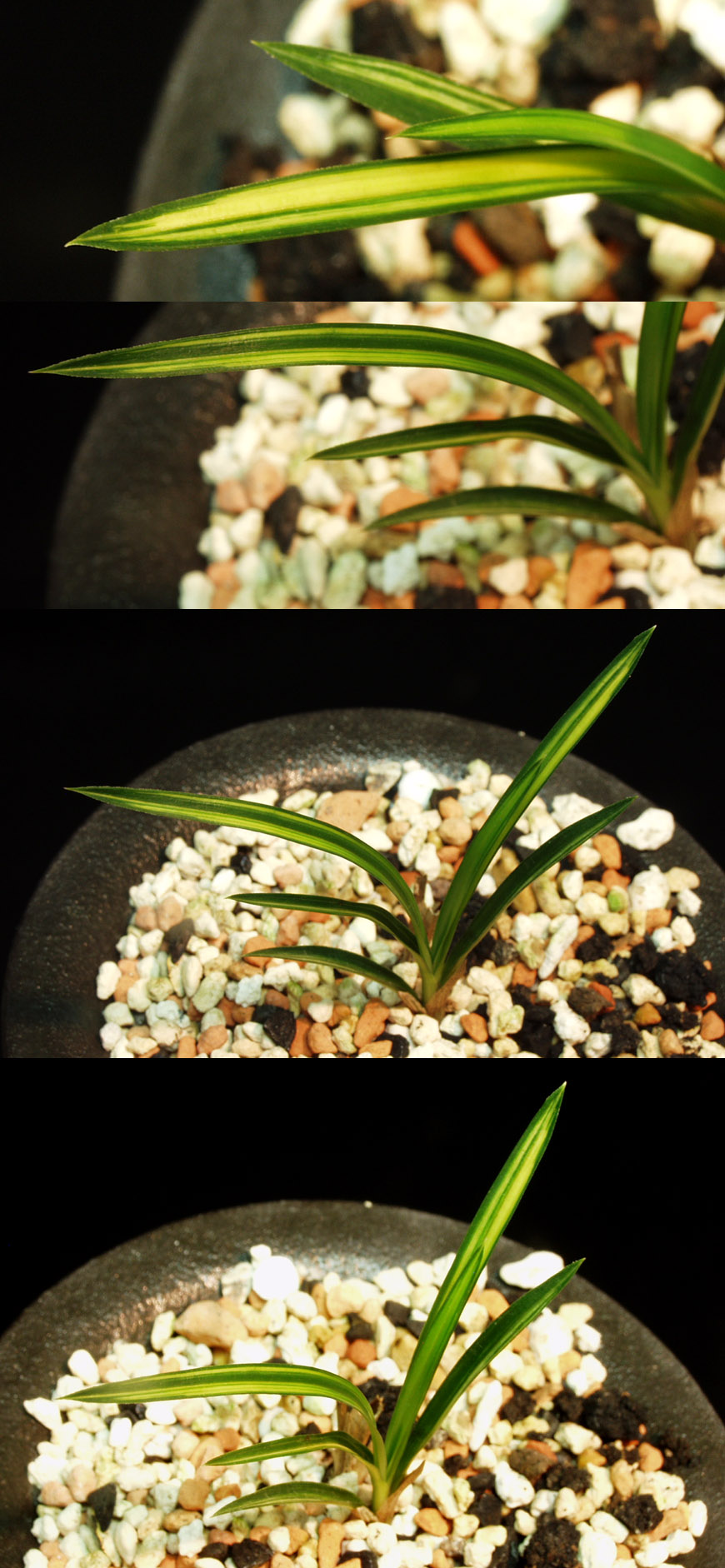 ������ ū������ �� �� �ֽ��ϴ�.