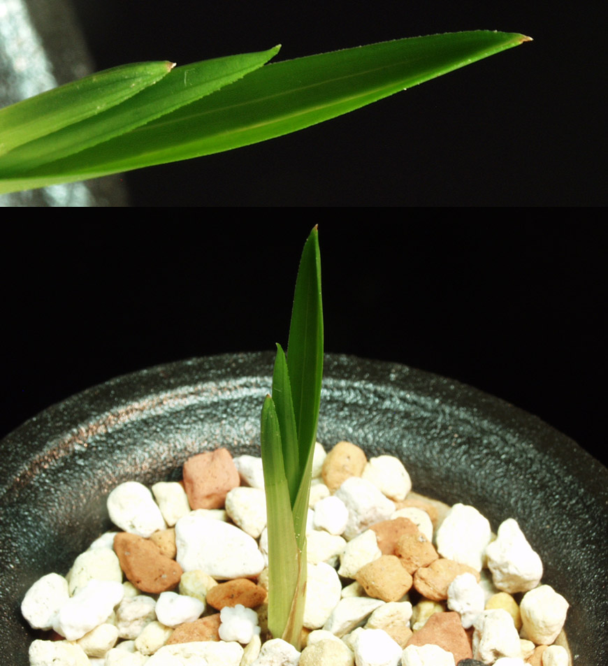 ������ ū������ �� �� �ֽ��ϴ�.