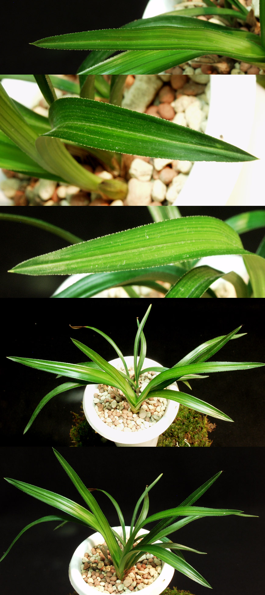 ������ ū������ �� �� �ֽ��ϴ�.