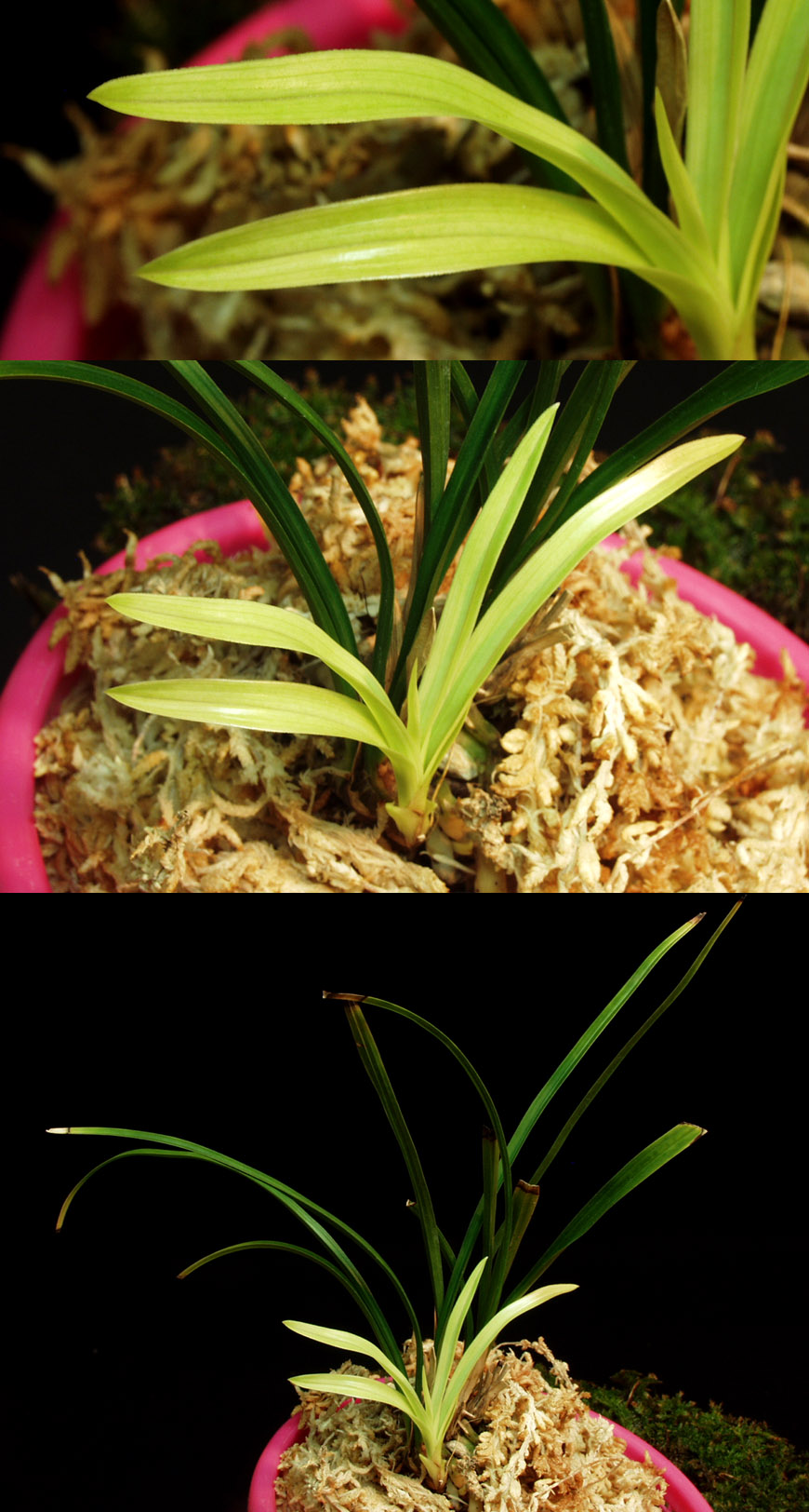 ������ ū������ �� �� �ֽ��ϴ�.