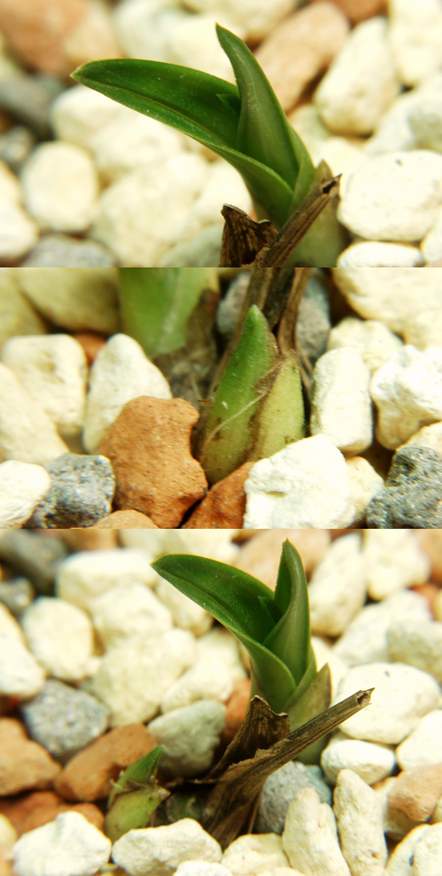 ������ ū������ �� �� �ֽ��ϴ�.