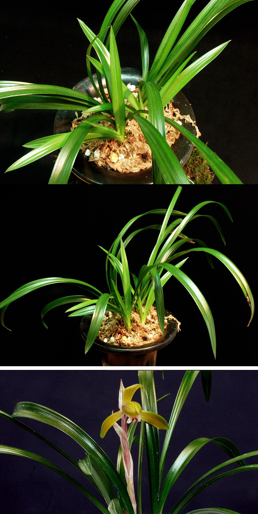 ������ ū������ �� �� �ֽ��ϴ�.