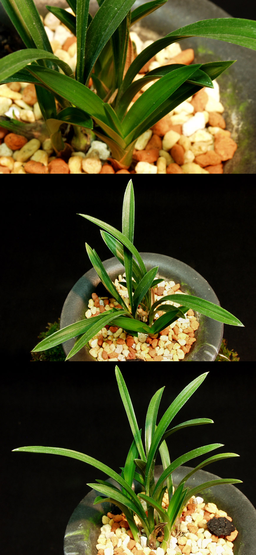 ������ ū������ �� �� �ֽ��ϴ�.