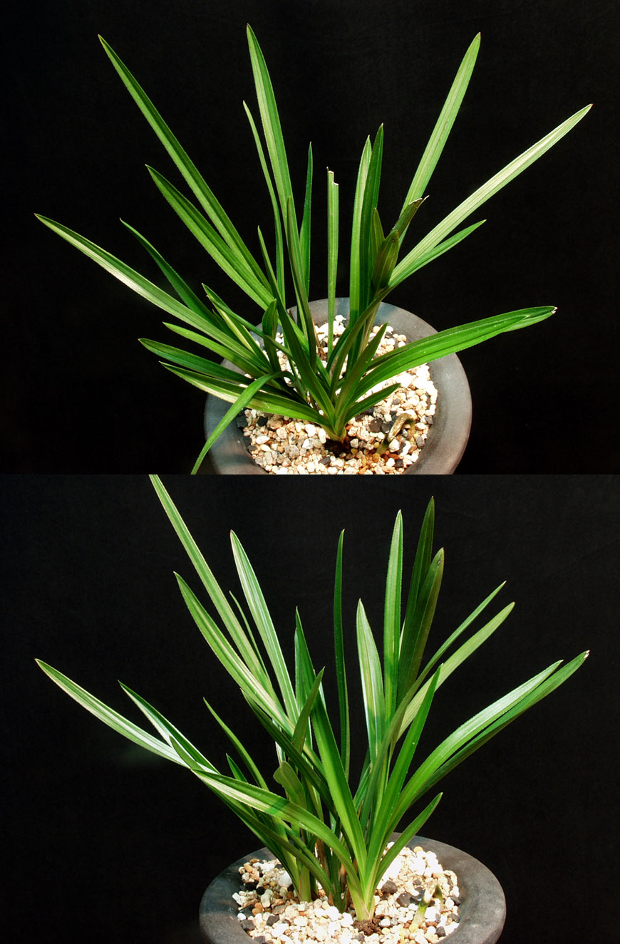 ������ ū������ �� �� �ֽ��ϴ�.