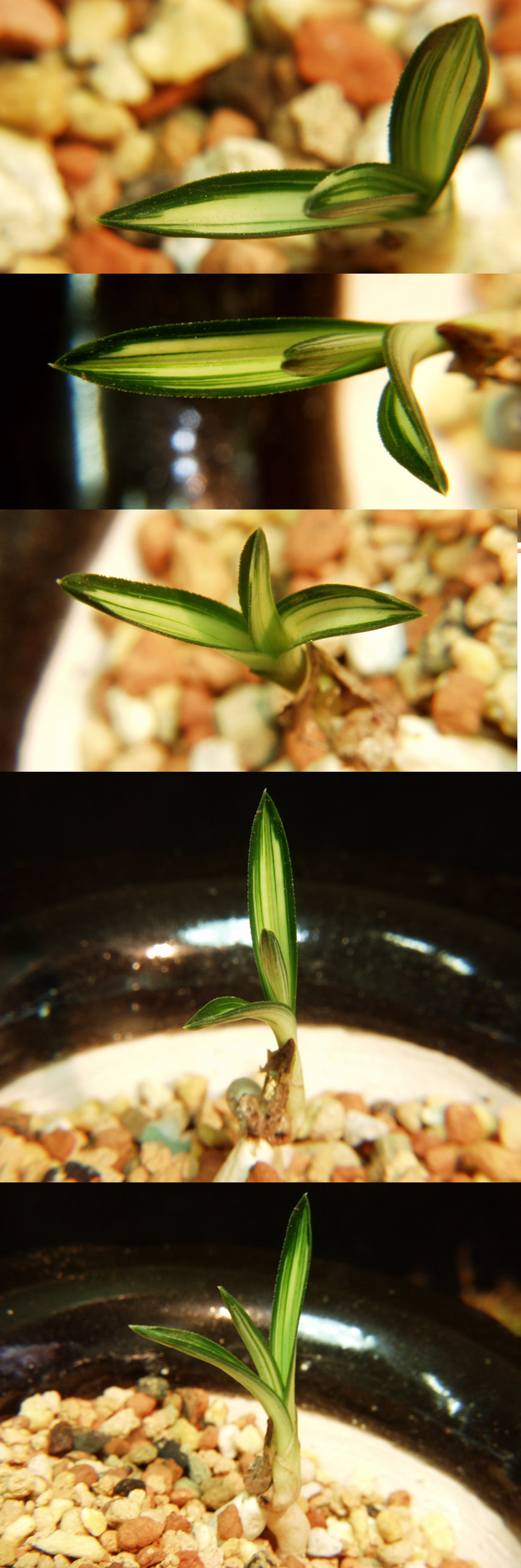 ������ ū������ �� �� �ֽ��ϴ�.