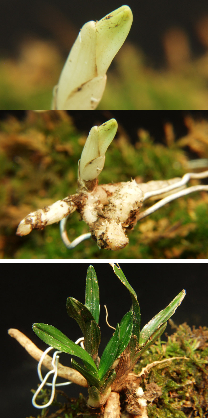 ������ ū������ �� �� �ֽ��ϴ�.