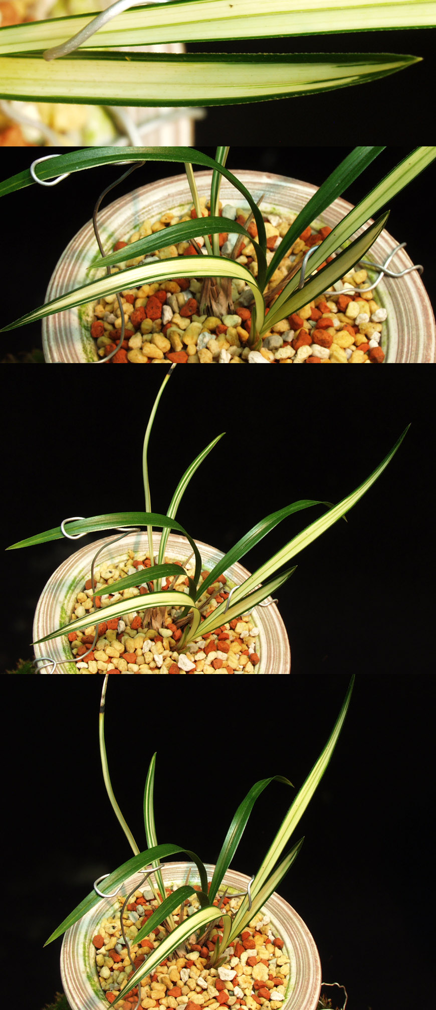 ������ ū������ �� �� �ֽ��ϴ�.