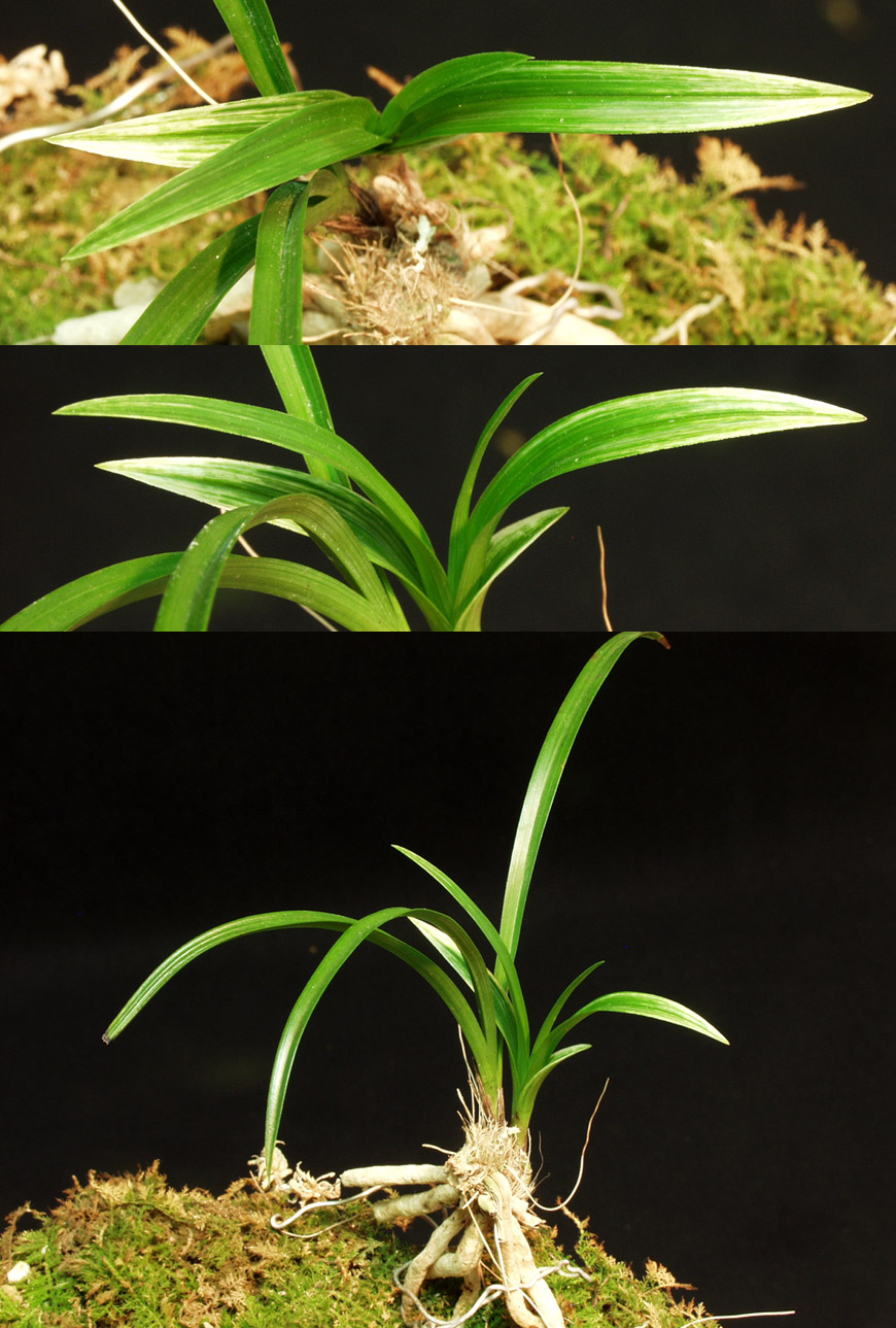 ������ ū������ �� �� �ֽ��ϴ�.