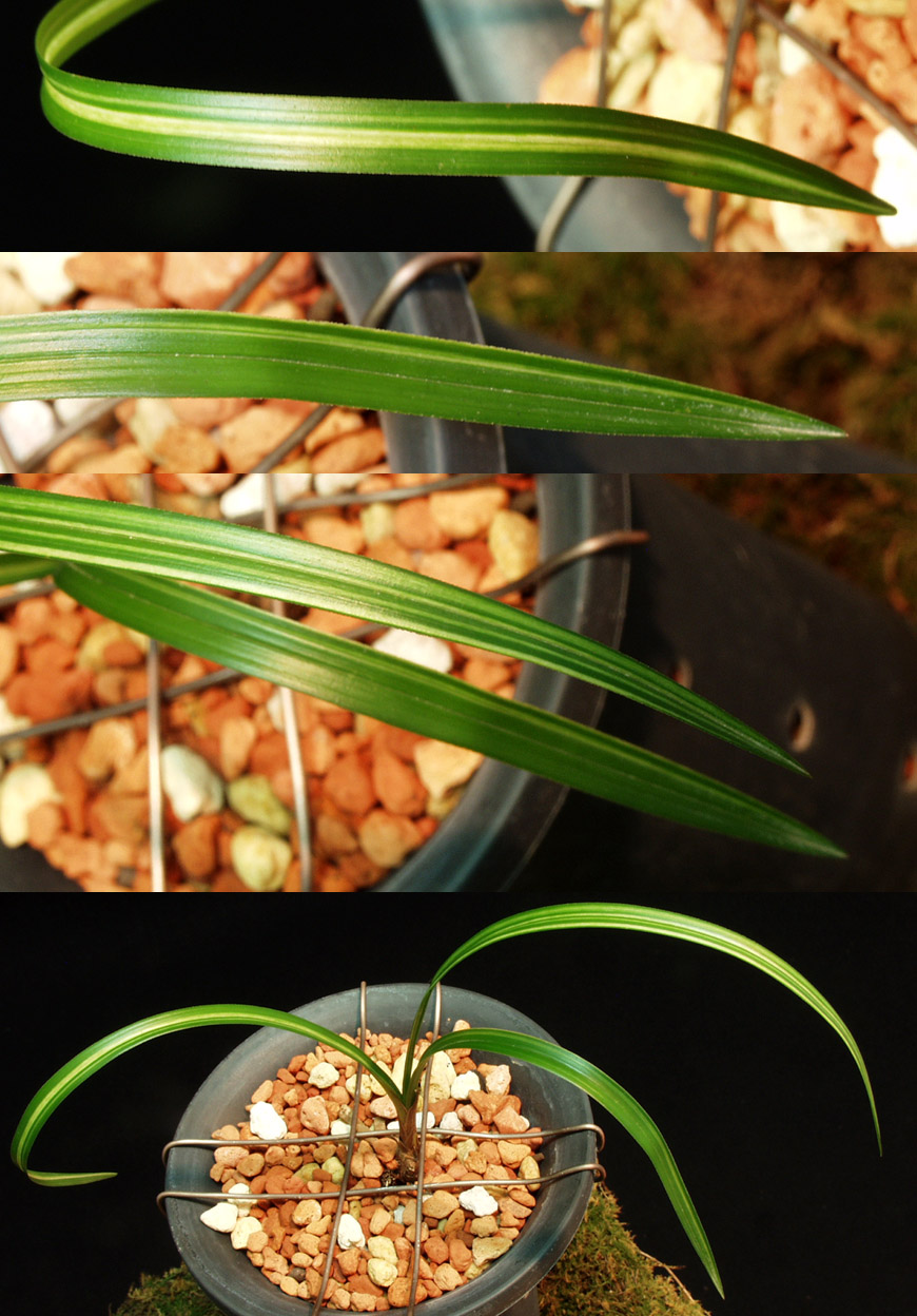 ������ ū������ �� �� �ֽ��ϴ�.