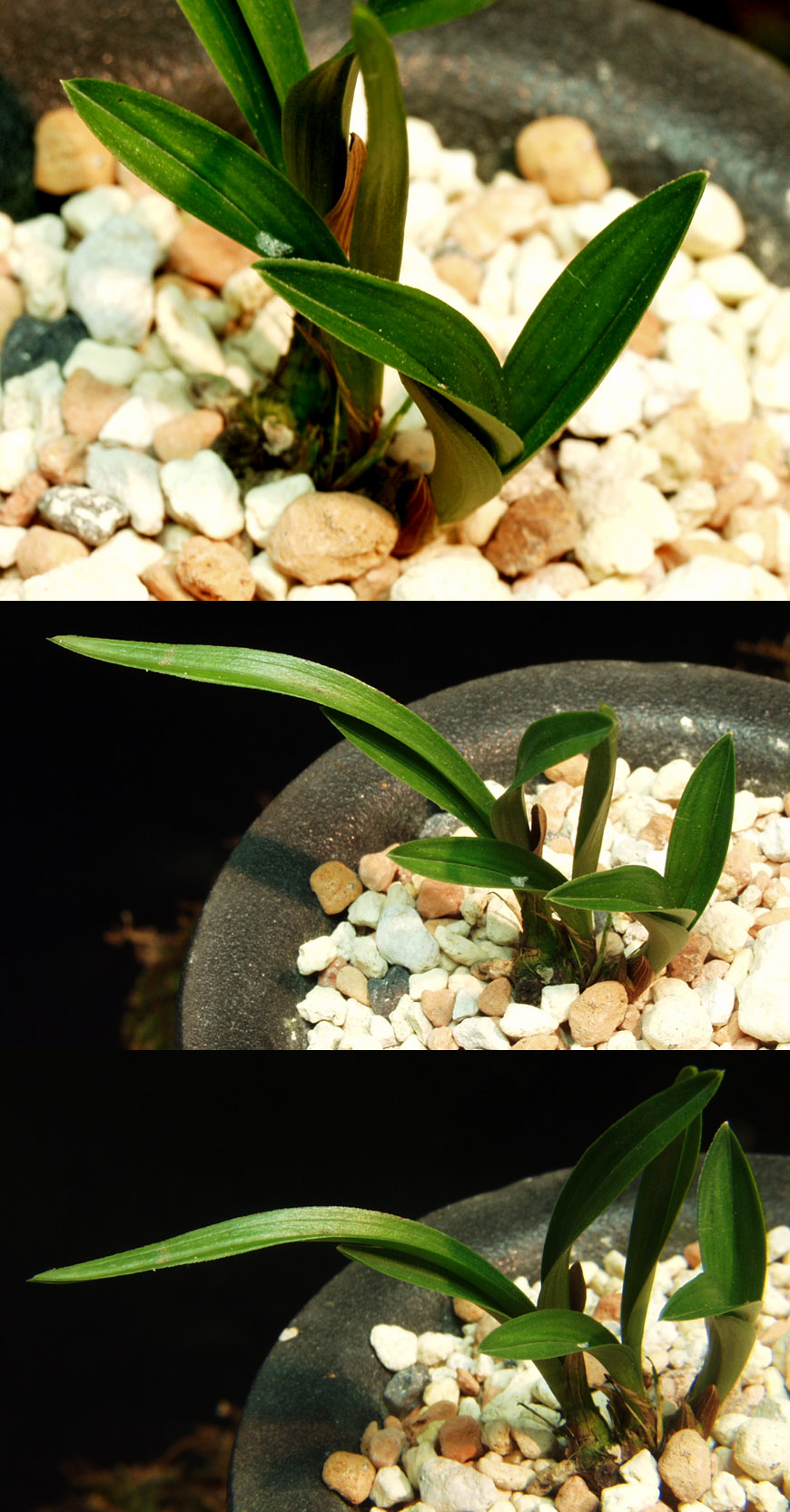 ������ ū������ �� �� �ֽ��ϴ�.