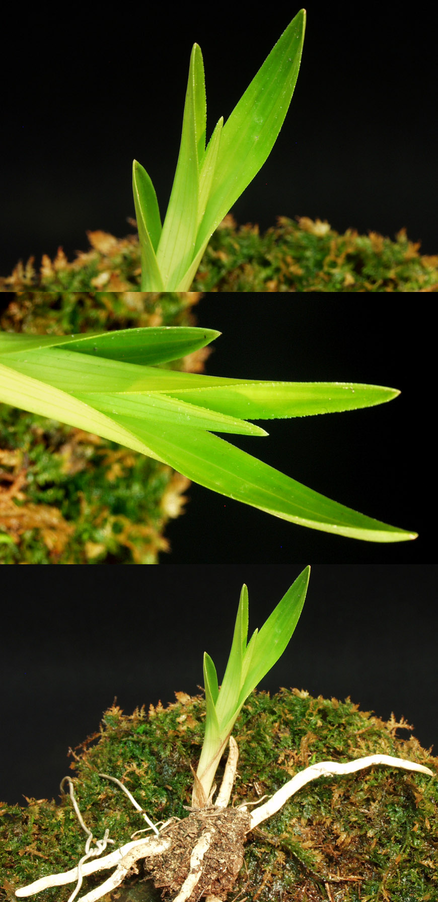 ������ ū������ �� �� �ֽ��ϴ�.