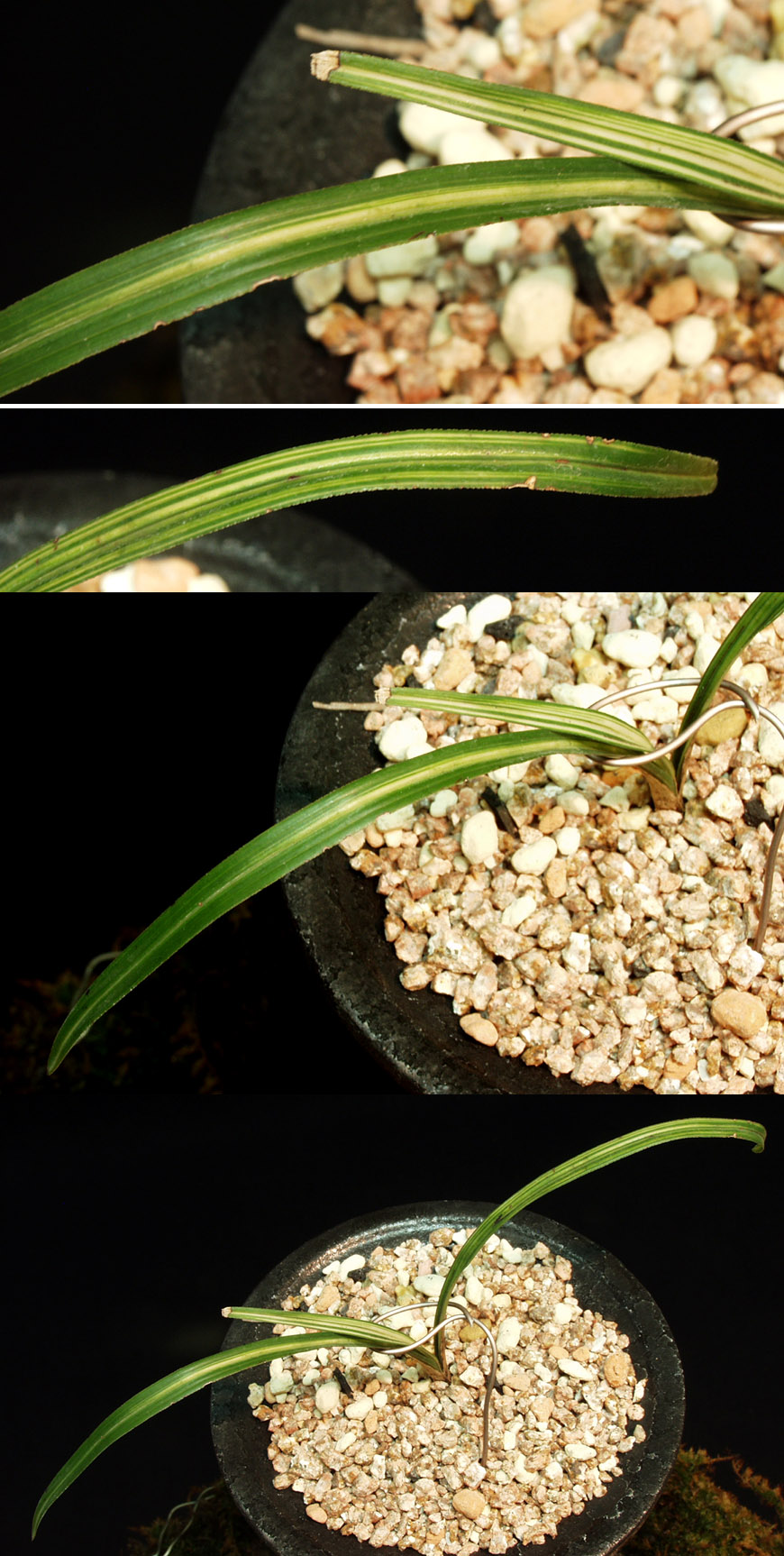 ������ ū������ �� �� �ֽ��ϴ�.