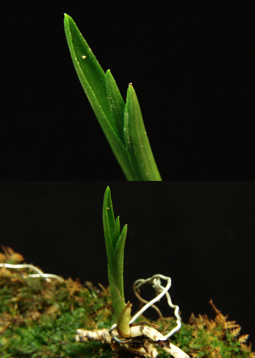 ������ ū������ �� �� �ֽ��ϴ�.