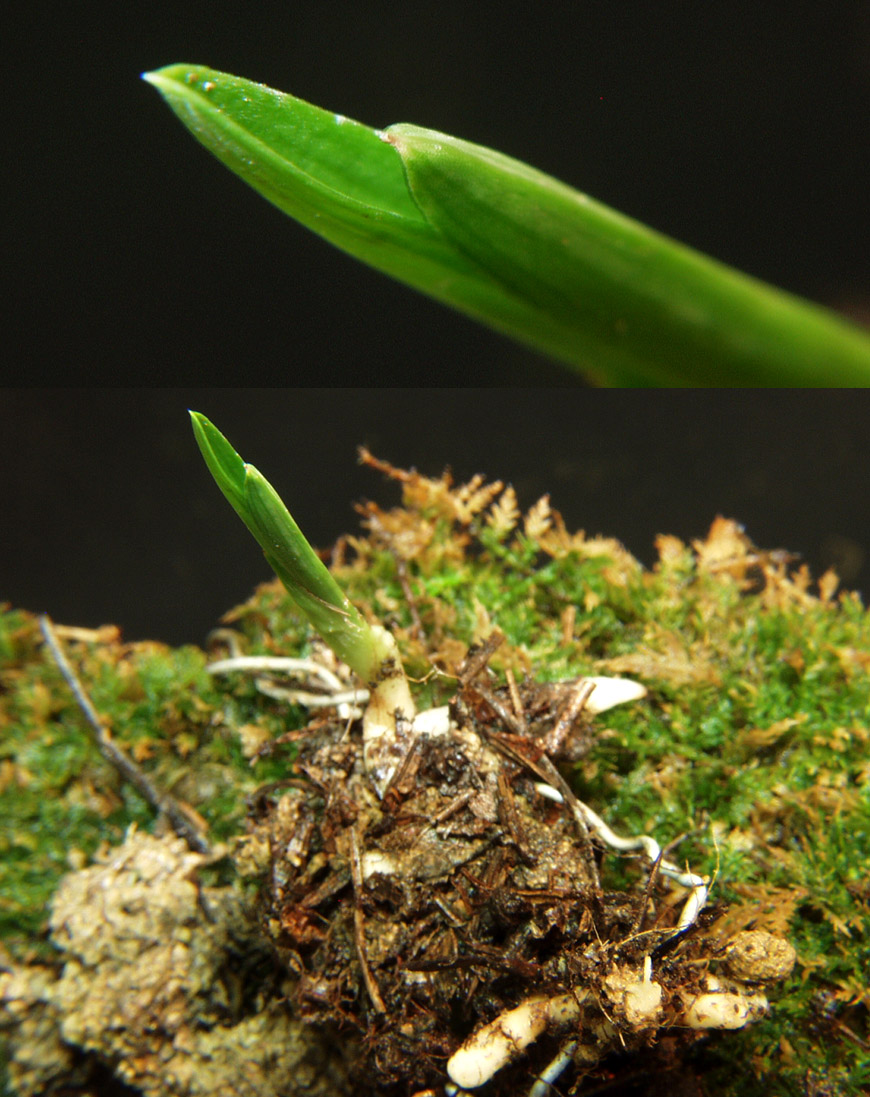 ������ ū������ �� �� �ֽ��ϴ�.