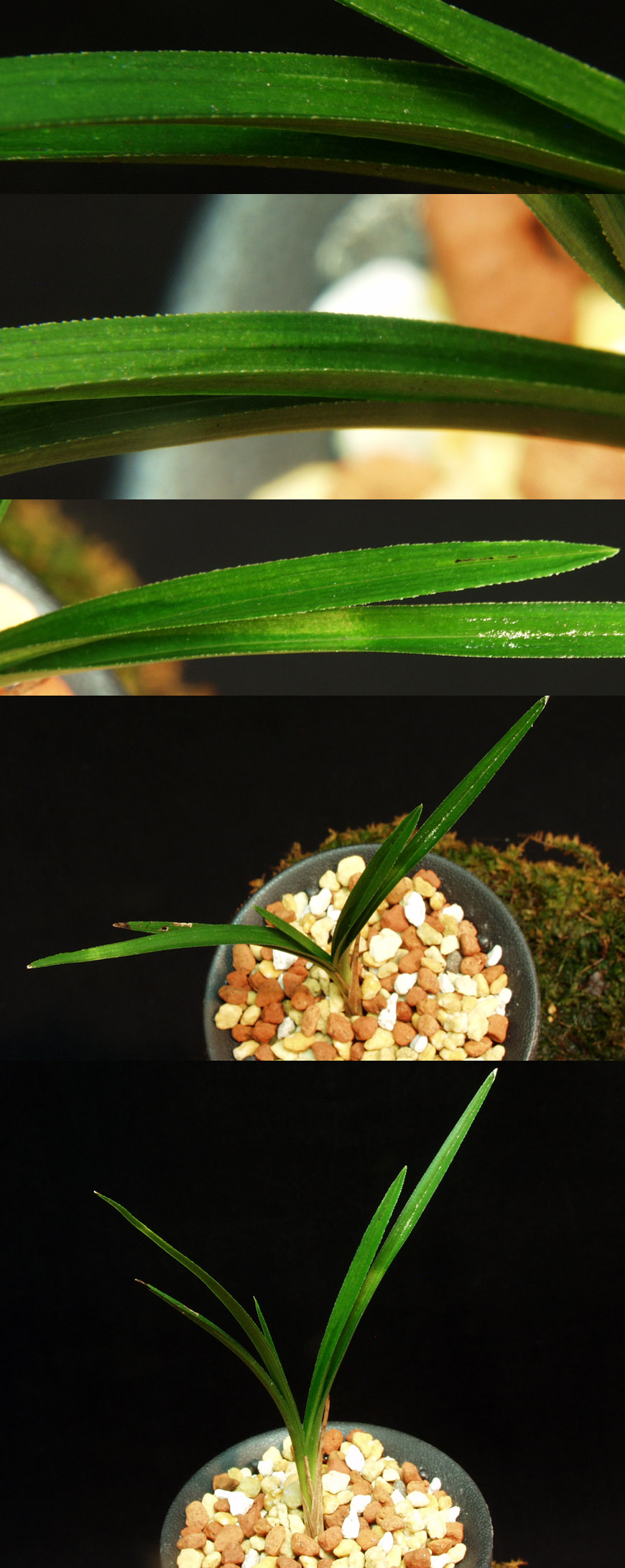 ������ ū������ �� �� �ֽ��ϴ�.