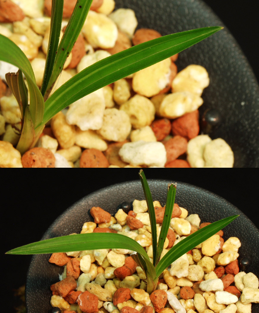 ������ ū������ �� �� �ֽ��ϴ�.