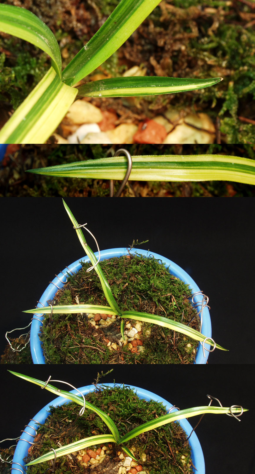 ������ ū������ �� �� �ֽ��ϴ�.