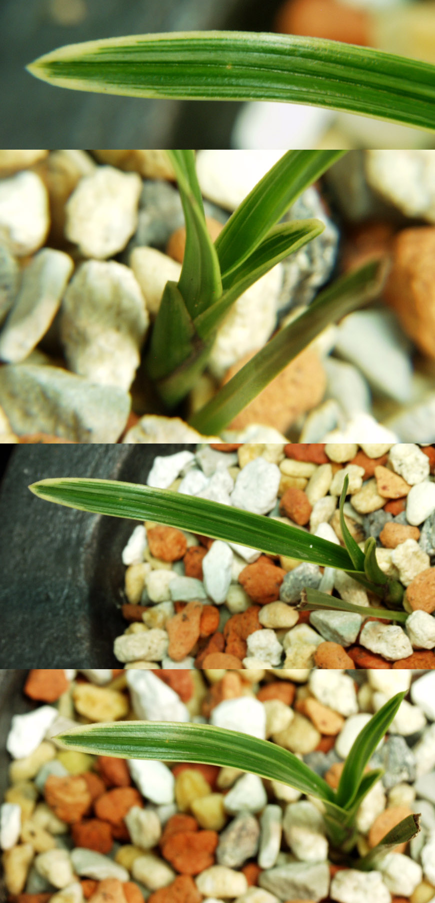 ������ ū������ �� �� �ֽ��ϴ�.