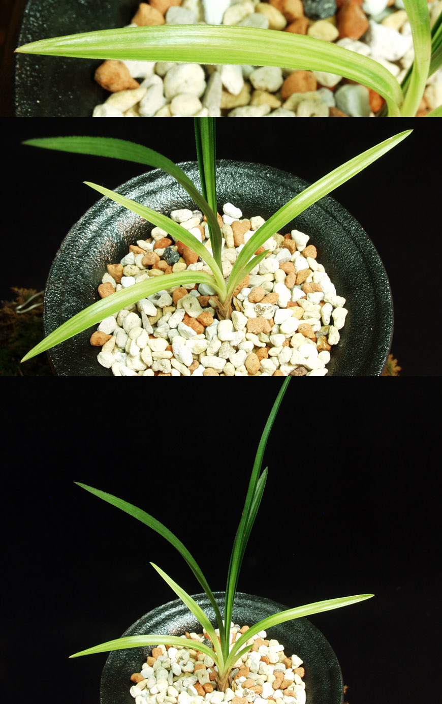 ������ ū������ �� �� �ֽ��ϴ�.