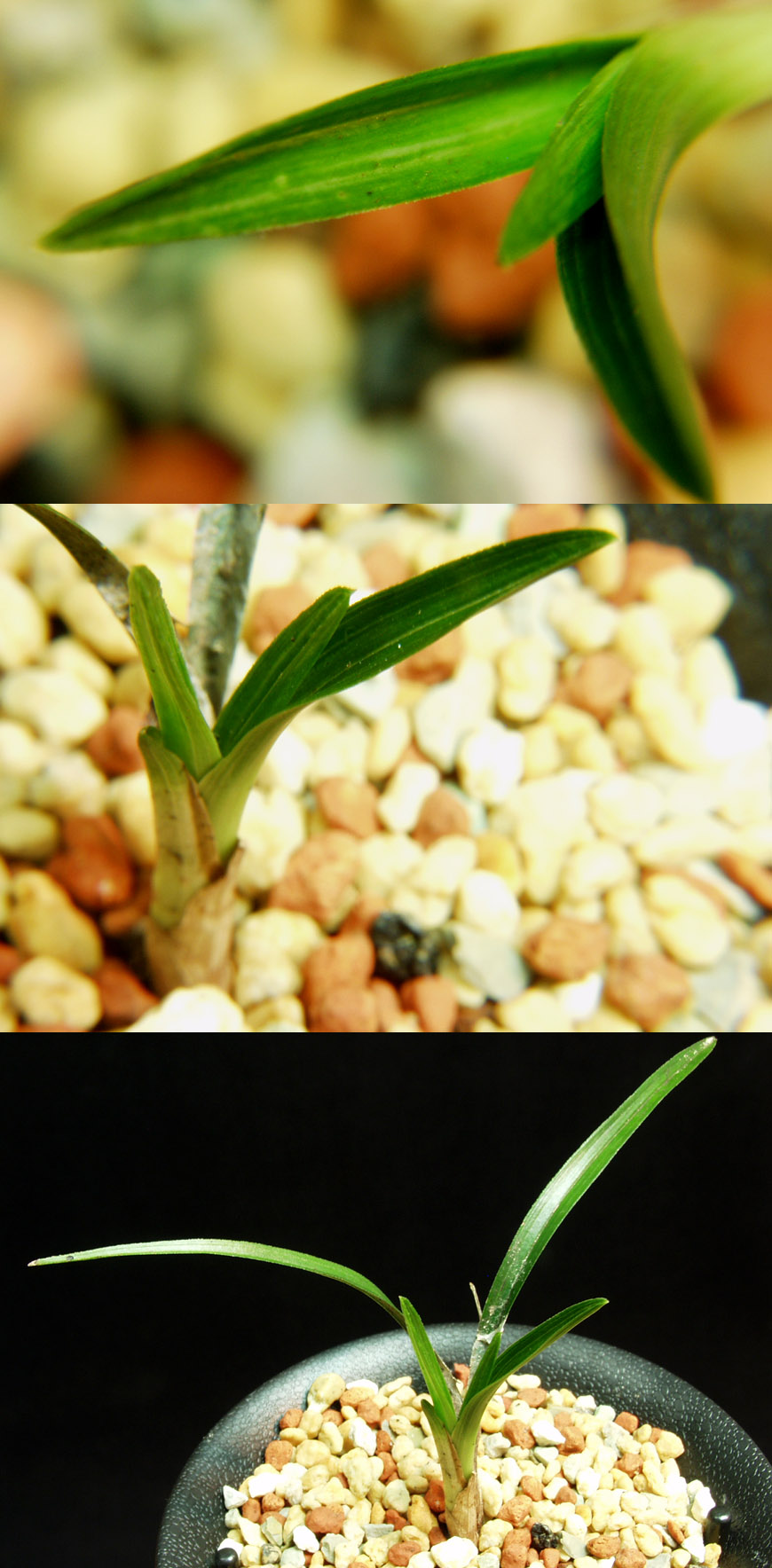 ������ ū������ �� �� �ֽ��ϴ�.