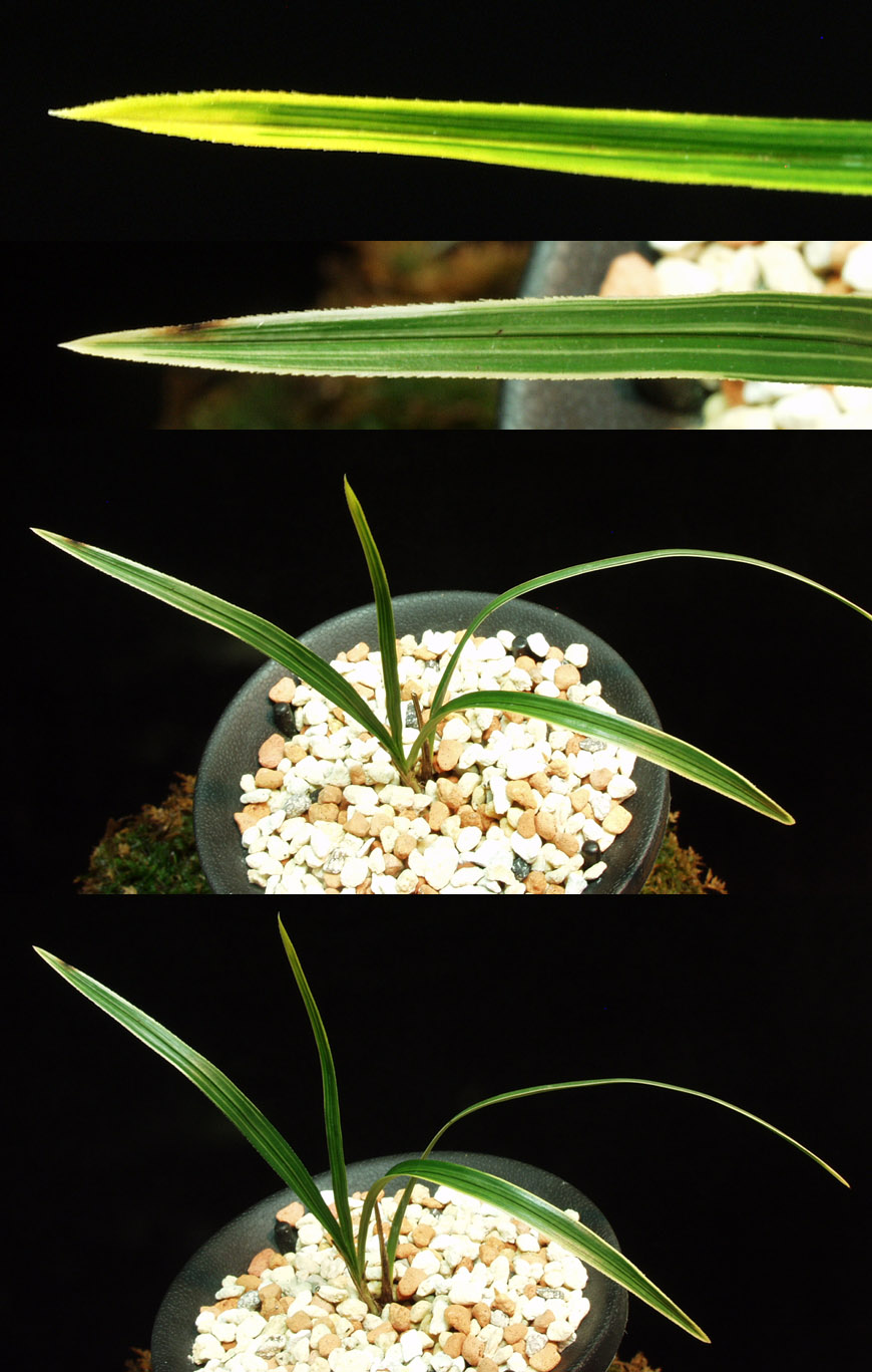 ������ ū������ �� �� �ֽ��ϴ�.