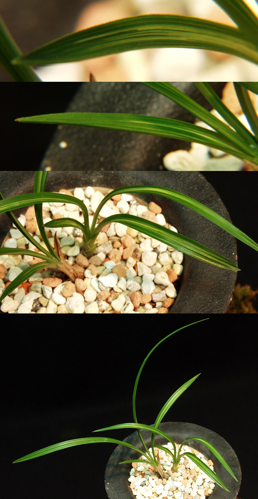 ������ ū������ �� �� �ֽ��ϴ�.