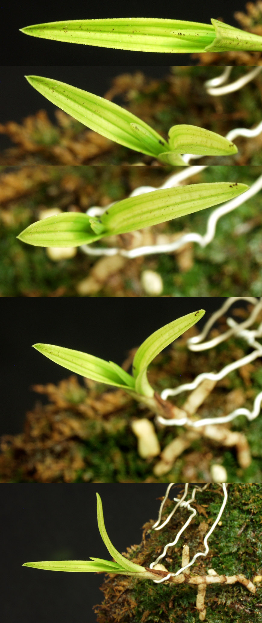 ������ ū������ �� �� �ֽ��ϴ�.