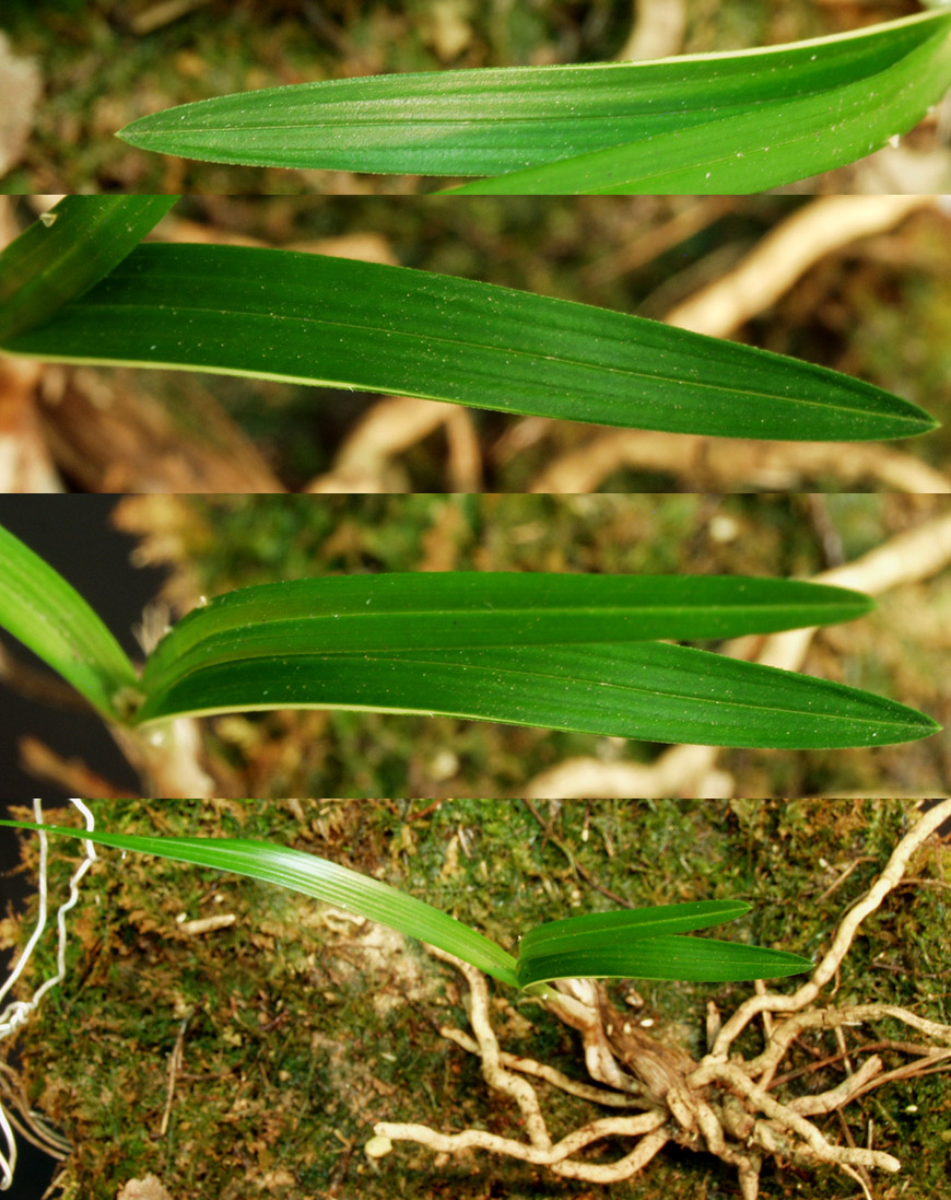 ������ ū������ �� �� �ֽ��ϴ�.