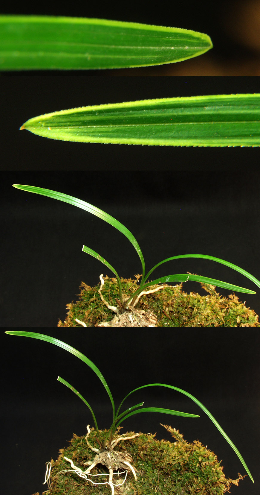 ������ ū������ �� �� �ֽ��ϴ�.